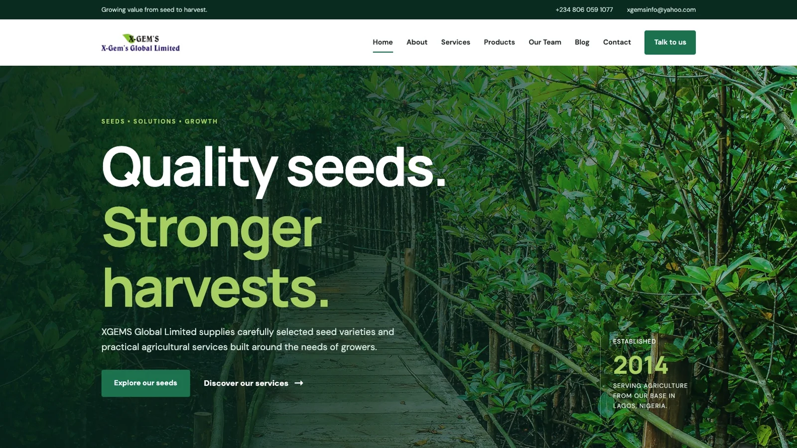 XGEMS Global Limited website hero section